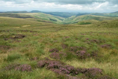 Coquetdale from slopes of Black Braes