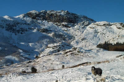 Blake Rigg seen from the road just south of Blea Tarn