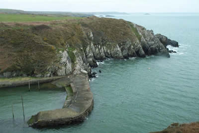 Photo from the walk - Porth Clais to St Justinian's