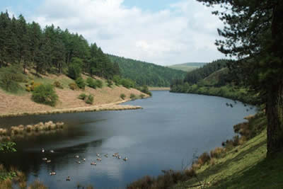 Howden Reservoir, Derwent valley