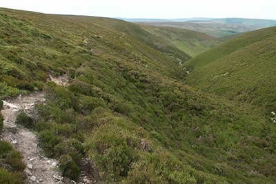Upper reaches of Fiensdale provide views across moorland