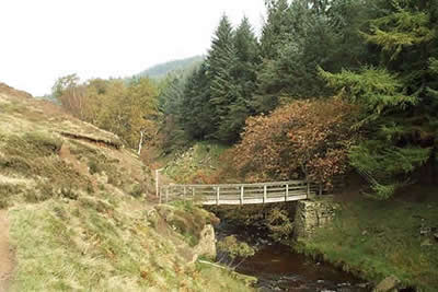 Photo from the walk - Fair Brook & Kinder Northern Edges