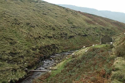 Dramatic section of River Ashop in a clough