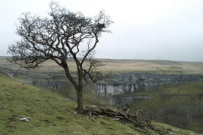 Malham Cove seen from the west flank