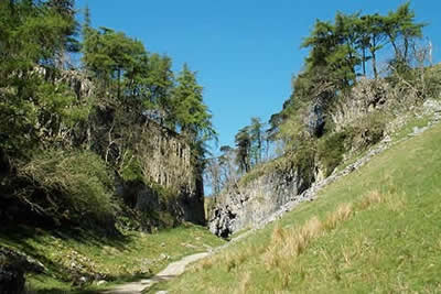 Trow Gill is a narrow valley formed from a collapsed cave