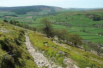Path from Simon's Seat to Dalehead Farm
