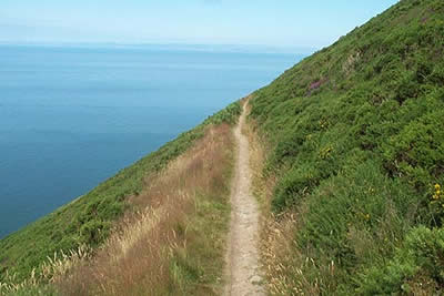 South West Coast Path 250 metres above sea, Contisbury