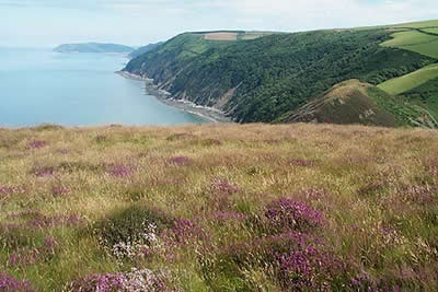 View from summit of The Foreland along Exmoor coast