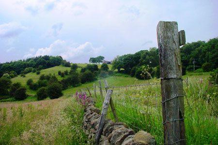 Oak Farm (near Abney) from Oak Wood