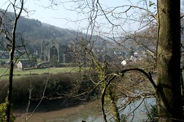 The ruins of Tintern Abbey seen through the trees