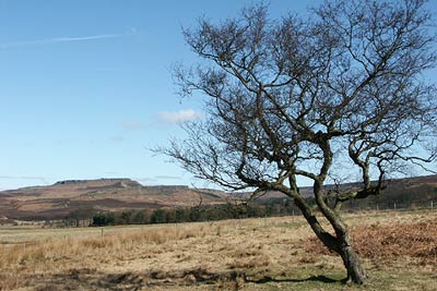 Higger Tor as seen from the Longshaw Estate