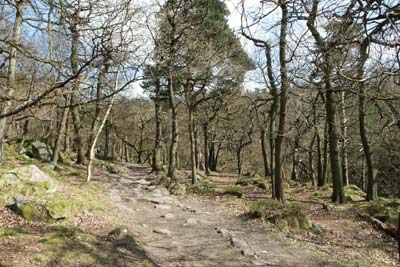 Padley Gorge is clothed in pleasant woodland