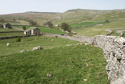 The approach to Pikedaw Hill from Malham