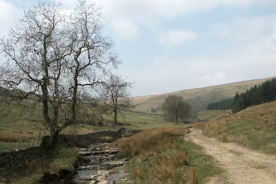 Track by Cosh Beck leads from Foxup Bridge to Cosh