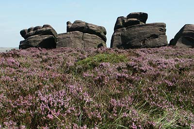 The Roaches and surrounding area are composed of gritstone