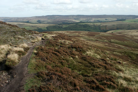 Derwent Moors from near Mad Woman's Stones