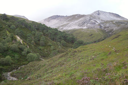 Sgurr nan Fhir Duibhe as seen from Circe-fraoich