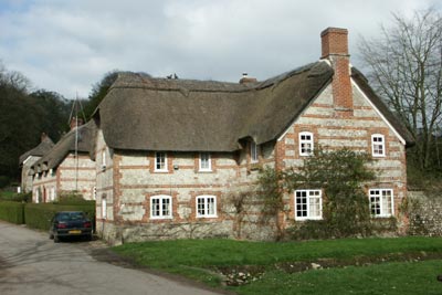 Thatched cottages in the hamlet of Up Cerne