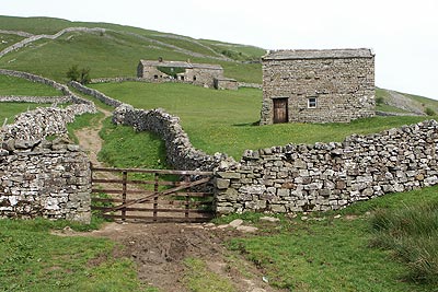 Field barn and cottages at Kisdon above Muker