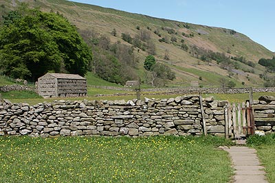 Field barns and stone walls near Muker