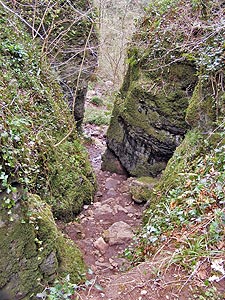 Ebbor Gorge near Wells