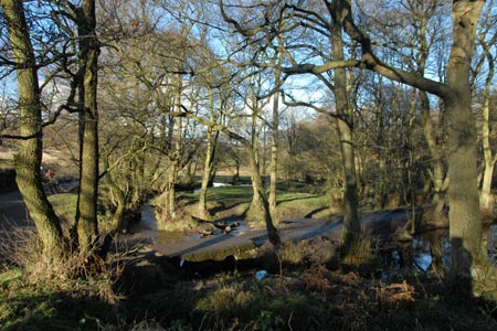 View of Sherbrook Valley, Cannock Chase