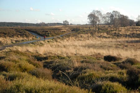 The Heart of England Way, Cannock Chase