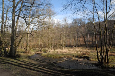 The Sherbrook Valley, Cannock Chase