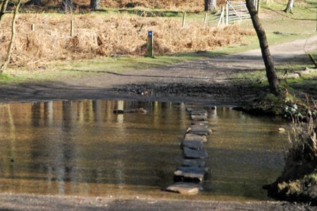 The stepping stones across the Sherbrook