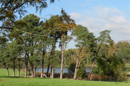 The lakeside near Berkswell Hall
