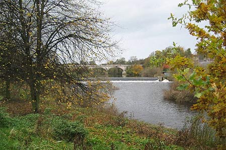 River Wharfe near Tadcaster