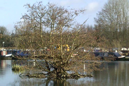 A small island near to a marina on the Colne Valley Trail.
