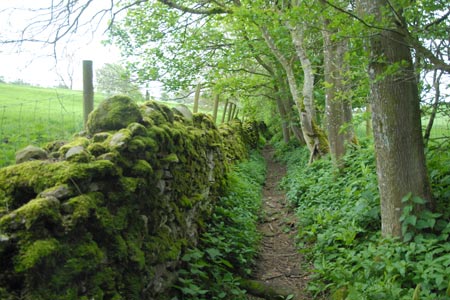 The enclosed path leaving Nateby