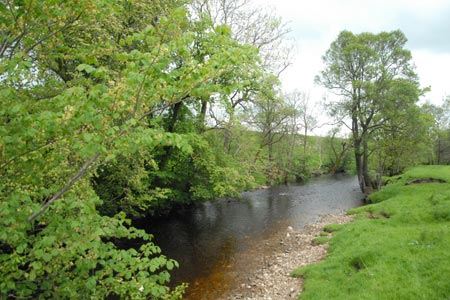 The River Eden between Wharton and Nateby