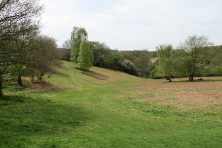 A shallow valley sloping down from Northchurch Common
