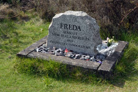 Freda's Grave on Cannock Chase