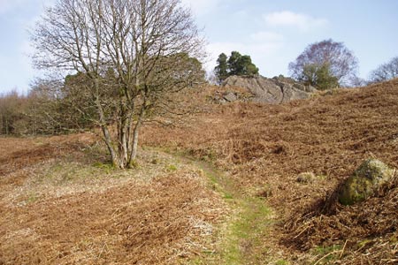 The path uphill to Rankthorns Plantation