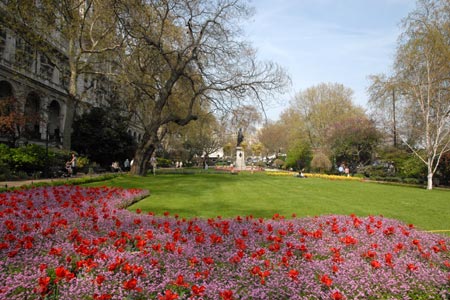 London - spring flowers in Embankment Gardens