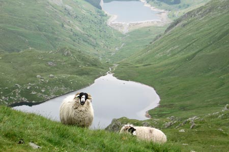 View to Small Water from Mardale Ill Bell