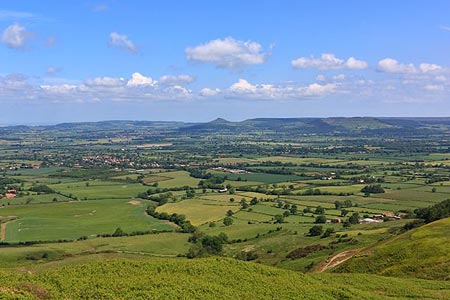 Cleveland plain and Roseberry Topping from Cringle Moor