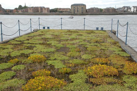 Thames Path - old wharf with planted 