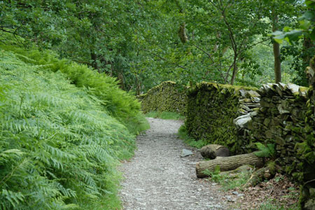 The path between Grasmere and Rydal