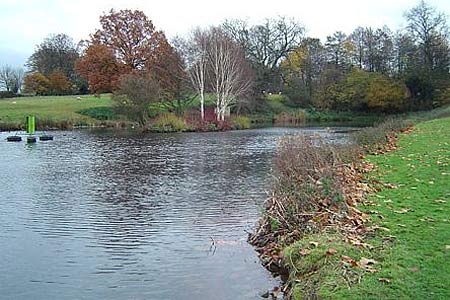 Pleasant pond near Harvington Hall