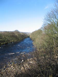 Looking back up the River Tees towards Holwick
