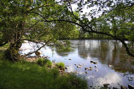 River Tees near Middleton-in-Teesdale
