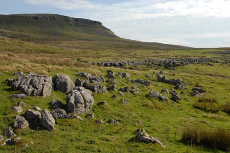 Crossing Horton Scar with Pen-y-ghent in the background