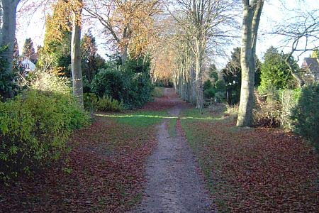 Avenue into Lickey Hills Country Park, Barnt Green