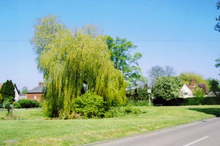 The village green Weston