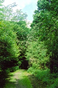 The Chiltern Way passes through Hemel Hempstead