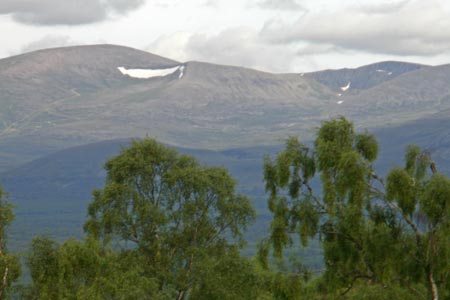 View of Cairngorms from Craigellachie NNR